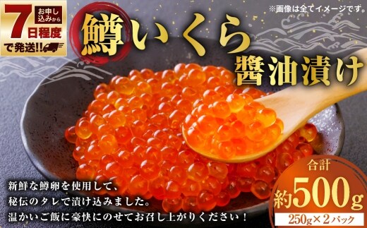 【 7日程度で発送 】 鱒いくら醤油漬け 250g × 2 計500g 鱒 いくら 醤油漬け いくら醤油漬け 醤油 漬け 鱒卵 新鮮 秘伝のタレ 海鮮 卵 魚介類 魚介 冷凍 魚卵 ご飯のお供