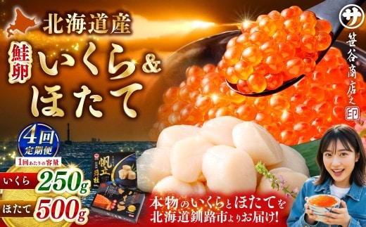 【4ヶ月定期便】 笹谷商店 新物 北海道産 いくら醤油漬け250g&ほたて貝柱500g お刺身 国産 イクラ イクラ醤油漬け 鮭いくら 鮭卵 ほたて貝柱 帆立 ホタテ ほたて 海鮮丼 詰め合わせ 海鮮 魚介 冷凍 グルメ 北海道 釧路市