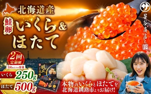 【2ヶ月定期便】 笹谷商店 新物 北海道産 いくら醤油漬け250g&ほたて貝柱500g お刺身 国産 イクラ イクラ醤油漬け 鮭いくら 鮭卵 ほたて貝柱 帆立 ホタテ ほたて 海鮮丼 詰め合わせ 海鮮 魚介 冷凍 グルメ 北海道 釧路市