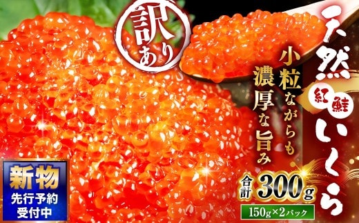 【 先行予約 】 新物 天然紅鮭いくら 醤油漬け 300g （ 150g × 2パック ） いくら イクラ 天然紅鮭 紅鮭 鮭 さけ サケ シャケ 魚卵 海鮮 海鮮丼 いくら丼 イクラ丼 ご飯のお供 おかず おつまみ 晩酌 酒の肴 冷凍 【 2026年11月以降順次発送 】