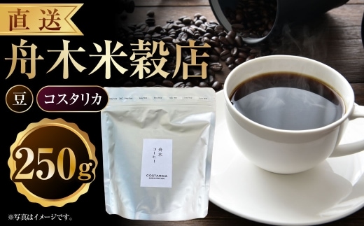 【14営業日以内に発送】 豆 【直送】 舟木米穀店 コスタリカ 250g コーヒー 珈琲 COFFEE coffee コーヒー豆 スペシャルティコーヒー 自家焙煎 焙煎