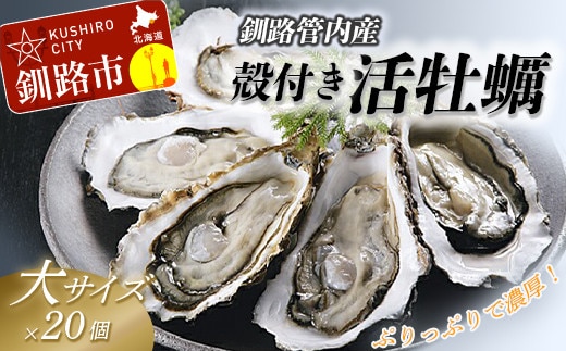 【ぷりっぷりで濃厚!】釧路管内産【活】牡蠣(大)20個 ふるさと納税 牡蠣