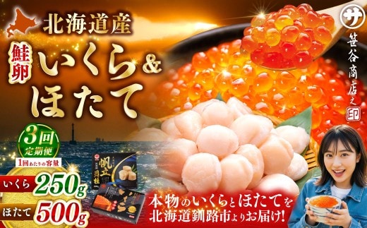 【3ヶ月定期便】 笹谷商店 新物 北海道産 いくら醤油漬け250g&ほたて貝柱500g お刺身 国産 イクラ イクラ醤油漬け 鮭いくら 鮭卵 ほたて貝柱 帆立 ホタテ ほたて 海鮮丼 詰め合わせ 海鮮 魚介 冷凍 グルメ 北海道 釧路市