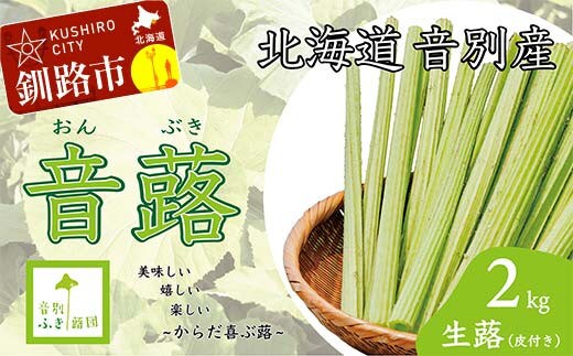 音蕗(おんぶき) 2kg 【6月上旬発送予定】 無農薬 蕗 フキ ふき 煮しめ 和食 おかず ご飯のお供 音別産生蕗 北海道産 北海道