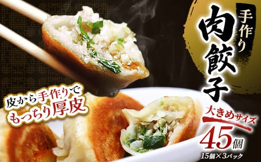 肉餃子45個(15個×3) 冷凍餃子 ギョーザ ぎょうざ 中華 簡単調理 小分け 冷凍食品 焼くだけ 惣菜 冷凍 肉 豚肉【2026年9月上旬迄発送】
