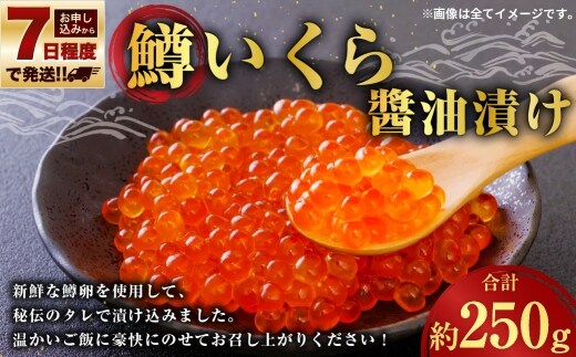 【 7日程度で発送 】 鱒いくら醤油漬け 250g 鱒 いくら ?油漬け いくら醤油漬け 醤油 漬け 鱒卵 新鮮 秘伝のタレ 海鮮 卵 魚介類 魚介 冷凍 魚卵 ご飯のお供