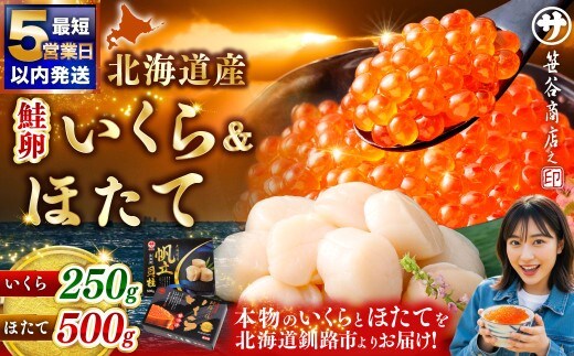 【5営業日以内発送】 笹谷商店 新物 北海道産 いくら醤油漬け250g&ほたて貝柱500g