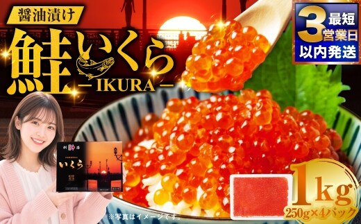 【最短3営業日以内発送】いくら 醤油漬け 250g×4パック 計1kg 北海道 釧路 ふるさと納税 いくら イクラ 丼 ごはんのお供 魚介類 海鮮 魚卵 海産物 F5F-0100