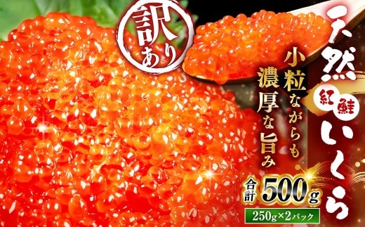 【先行予約】 新物 天然紅鮭いくら 醤油漬け 500g(250g×2) 【2026年11月以降順次発送】 いくら イクラ 訳あり 規格外 小分け 個包装 冷凍 海鮮 海鮮丼 いくら丼 イクラ丼 醤油いくら 訳アリ 人気 年末年始 パック 北海道 釧路市