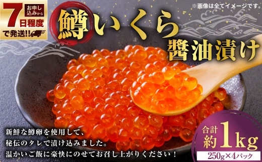 【 7日程度で発送 】 鱒いくら醤油漬け 250g × 4 計1kg 鱒 いくら醤油漬け いくら醤油漬け 醤油 漬け 鱒卵 新鮮 秘伝のタレ 海鮮 卵 魚介類 魚介 冷凍 魚卵 ご飯のお供