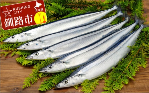 鮮さんま 2kg (14?18尾) ふるさと納税 魚 北海道 釧路 サンマ 旬 秋刀魚