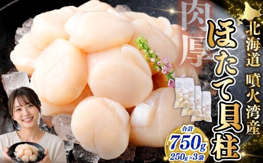 【 14営業日以内発送 】 北海道産 ホタテ 貝柱 750g （ 250g × 3パック ） 魚介類 海鮮 海産物 生食用 肉厚 お刺身 海鮮丼 バター醤油焼き フライ 国産 鮮度抜群 おつまみ おかず 晩酌 酒の肴 冷凍
