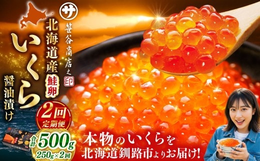 【2ヶ月定期便】 新物 北海道産いくらしょう油漬250g 笹谷商店 小分け パック 醤油漬け 海鮮 海鮮丼 イクラ丼 醤油たれ 冷凍 魚卵 魚介類 グルメ 北海道 釧路市