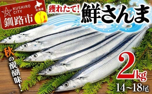 獲れたて鮮さんま 2kg(14~18尾) さんま 秋刀魚 サンマ 新鮮 魚 鮮魚 海産物 旬 北海道 釧路