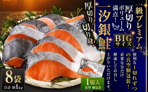 一級品プレミアム BIGサイズ一汐銀鮭切身 厚切り 8袋 （ 約1kg ） 1切ずつ真空個包装 鮭 シャケ 魚介類 海鮮 真空パック おかず おつまみ 晩酌 酒の肴 お惣菜 養殖 チリ産 プレミアムグレード 冷凍