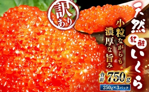 【先行予約】 新物 天然紅鮭いくら 醤油漬け 750g ( 250g × 3 ) 【2026年11月以降順次発送】いくら イクラ 海鮮 天然紅鮭 魚卵 卵 イクラ丼 いくら丼 手巻き寿司 小粒 魚介類 魚介 寿司 丼 冷凍 旨味