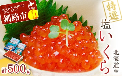 【北海道産】 マルア阿部商店特選 塩 いくら 500g ふるさと納税 イクラ 魚卵