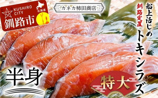 船上活じめ 釧路 定置 トキシラズ の 半身 ふるさと納税 鮭 サケ 魚 時不知鮭 甘塩 魚介 海産物