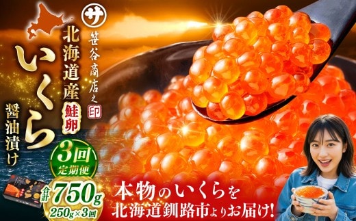 【3ヶ月定期便】 新物 北海道産いくらしょう油漬250g 笹谷商店 小分け パック 醤油漬け 海鮮 海鮮丼 イクラ丼 醤油たれ 冷凍 魚卵 魚介類 グルメ 北海道 釧路市