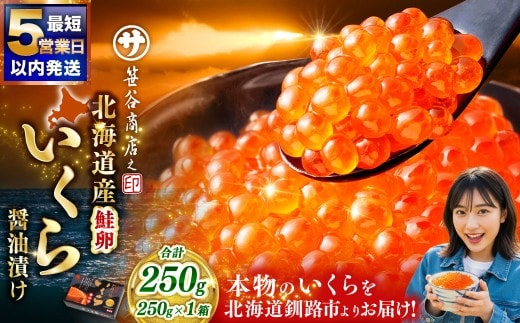 【5営業日以内発送】笹谷商店 新物 北海道産いくらしょう油漬250g ふるさと納税 いくら