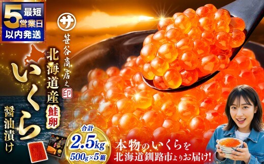【5営業日以内発送】笹谷商店 北海道産 いくら イクラ (鮭) 500g×5箱 2.5kg 2,500g 魚 醤油漬け 海鮮醤油漬け 海鮮 海鮮丼 ギフト 冷凍 魚卵 魚介類 しょう油漬 ご飯のお供