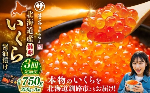 【3ヶ月定期便】 新物 北海道産いくらしょう油漬250g 笹谷商店 小分け パック 醤油漬け 海鮮 海鮮丼 イクラ丼 醤油たれ 冷凍 魚卵 魚介類 グルメ 北海道 釧路市