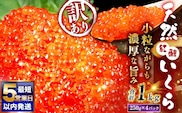 【 5営業日以内発送 】 紅鮭いくら醤油漬け 1kg ( 250g × 4 ) いくら イクラ 海鮮 天然紅鮭 魚卵 卵 イクラ丼 いくら丼 手巻き寿司 小粒 魚介類 魚介 寿司 丼 冷凍 旨味