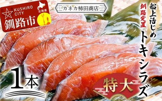 船上活じめ 釧路 定置 トキシラズ 1本 北海道 釧路 ふるさと納税 鮭 サケ トキシラズ 時知らず 時鮭 時不知鮭 甘塩 魚 魚介 海産物