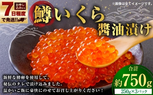 【 7日程度で発送 】 鱒いくら醤油漬け 250g × 3 計750g 鱒 いくら 醤油漬け いくら醤油漬け 醤油 漬け 鱒卵 新鮮 秘伝のタレ 海鮮 卵 魚介類 魚介 冷凍 魚卵 ご飯のお供