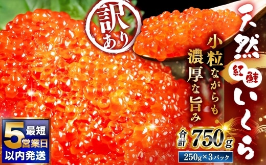 【 2026年7月発送 】 紅鮭いくら醤油漬け 750g ( 250g × 3 ) いくら イクラ 海鮮 天然紅鮭 魚卵 卵 イクラ丼 いくら丼 手巻き寿司 小粒 魚介類 魚介 寿司 丼 冷凍 旨味
