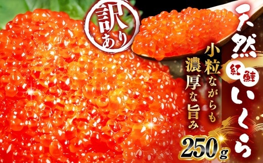 【先行予約】 新物 天然紅鮭いくら 醤油漬け 250g 【2026年11月以降順次発送】いくら イクラ 訳あり 規格外 小分け 個包装 冷凍 海鮮 海鮮丼 いくら丼 イクラ丼 醤油いくら 訳アリ 人気 年末年始 パック 北海道 釧路市
