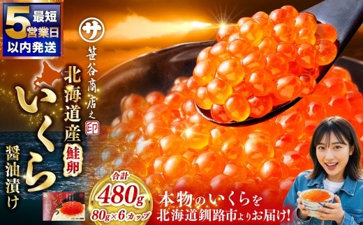【5営業日以内発送】 新物 北海道産 いくら 醤油漬け 80g×6カップ 計480g