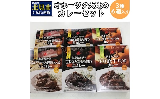 オホーツク生まれの絶品カレー！オホーツク大地のカレーセット ( レトルト 加工品 カレー セット 詰め合わせ )【005-0026】