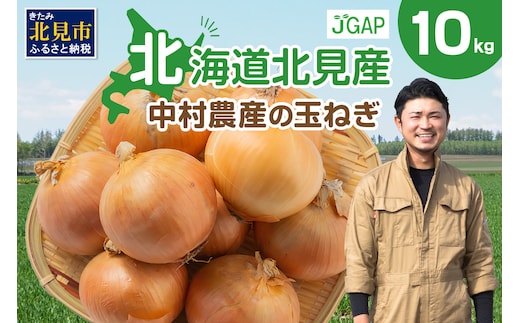 【予約：2026年10月から順次発送】北海道北見産 玉ねぎ 10kg ( 野菜 たまねぎ タマネギ 玉葱 玉ねぎ 甘い Lサイズ 10キロ 玉ねぎ生産量日本一 )【002-0009-2026】