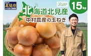 【予約：2026年10月から順次発送】北海道北見産 玉ねぎ 15kg ( 野菜 たまねぎ タマネギ 玉葱 玉ねぎ 甘い Lサイズ 15キロ 玉ねぎ生産量日本一 )【002-0010-2026】