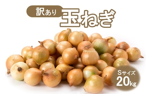 【訳アリ】玉ねぎ 20kg Sサイズ ( 北海道産 野菜 たまねぎ わけあり )【009-0005】
