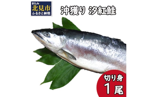 沖獲り 汐紅鮭 切り身 1尾 ( さけ 鮭 紅鮭 魚 魚介類 ふるさと納税 )【017-0016】