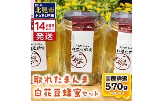 《14営業日以内に発送》採れたまんまの白花豆蜂蜜 190g×3本セット ( 蜂蜜 はちみつ ハチミツ 蜜 甘い 白花豆 蜂 純粋蜂蜜 贅沢 国産 酸味 おいしい おやつ 天然 自然 )【022-0011】
