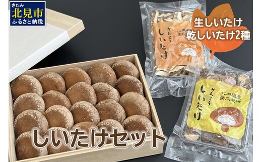 【木箱入】北海道産 生しいたけ(菌床) 乾しいたけ(ひと口・スライス)セット ( きのこ キノコ 椎茸 シイタケ )【038-0007】
