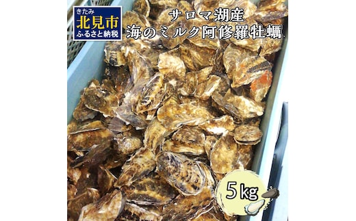 【予約：2026年10月中旬から順次発送】サロマ湖産 海のミルク 阿修羅牡蠣 5kg ( 魚介類 海鮮 魚介 牡蠣 かき カキ 海のミルク サロマ湖 5キロ 期間限定 国産 1年カキ )【031-0015-2026】