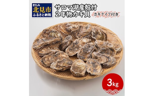 【予約：2025年10月より順次発送】【カキナイフ付】海のミルクサロマ湖産殻付2年物カキ貝 3kg 20～30個入 ( 海鮮 貝 牡蠣 カキ お祝い 熨斗 BBQ )【031-0017】