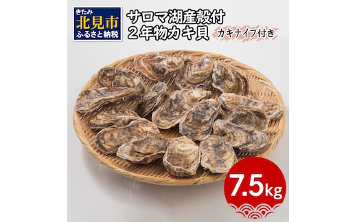 【予約：2025年10月より順次発送】【カキナイフ付】海のミルクサロマ湖産殻付2年物カキ貝 7.5kg 60～75個入 ( 魚介類 海鮮 魚介 牡蠣 かき カキ )【031-0019】