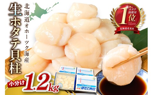 【予約：2026年6月から順次発送】北海道オホーツク海産 ホタテ貝柱 1.2kg 生食用 ( 海鮮 魚介 魚介類 貝 ほたて 刺身 貝柱 海鮮丼 贈答 ギフト 小分け 帆立貝柱 人気 ふるさと納税 ホタテ )【037-0021】
