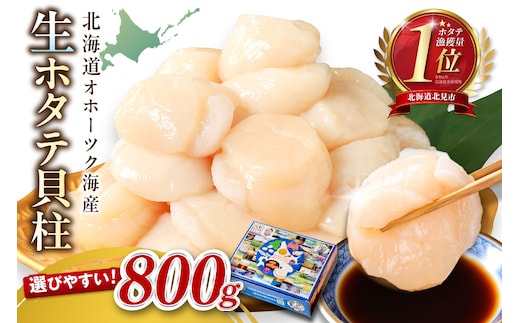 【2026年6月発送】北海道オホーツク海産 ホタテ貝柱 800g 生食用 ( 海鮮 魚介 魚介類 貝 貝類 帆立 ほたて お刺身 刺身 貝柱 海鮮丼 帆立貝柱 人気 ふるさと納税 ホタテ )【037-0016】
