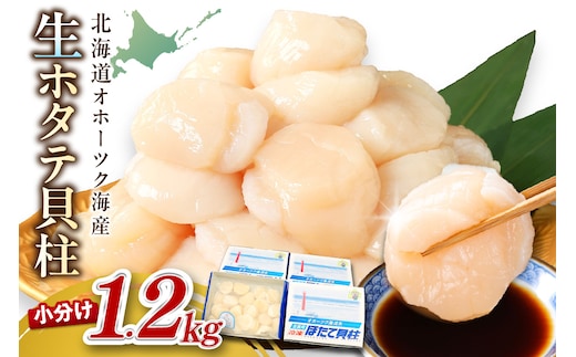 【2026年1月発送】北海道オホーツク海産 ホタテ貝柱 1.2kg 生食用 ( 海鮮 魚介 魚介類 貝 ほたて 刺身 貝柱 海鮮丼 贈答 ギフト 小分け 帆立貝柱 人気 ふるさと納税 ホタテ )【037-0014】
