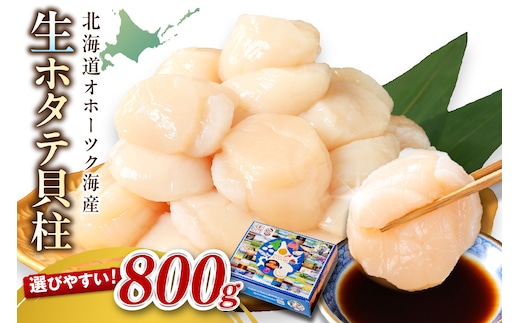 【2026年1月発送】北海道オホーツク海産 ホタテ貝柱 800g 生食用 ( 海鮮 魚介 魚介類 貝 貝類 帆立 ほたて お刺身 刺身 貝柱 海鮮丼 帆立貝柱 人気 ふるさと納税 ホタテ )【037-0016】