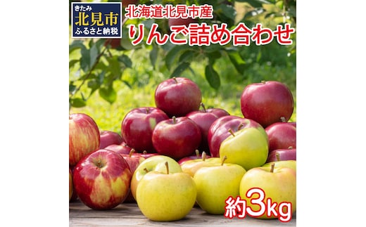 【予約：2026年10月から順次発送】季節のりんご詰め合わせ 3kg ( りんご リンゴ 林檎 詰合せ 3kg 旭 つがる 黄王 レッドゴールド ジョナゴールド 昴林 森の輝き 王林 ふじ )【044-0002-2026】