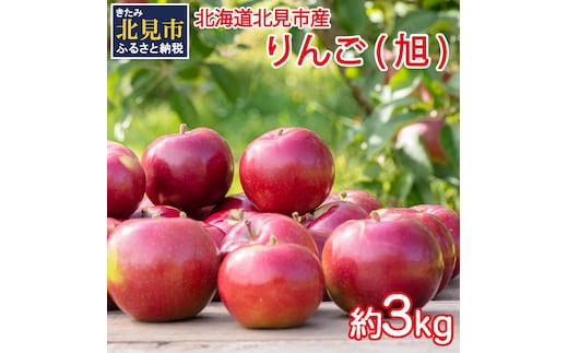 【予約：2026年10月から順次発送】北海道北見市産 りんご 旭 約3kg ( りんご リンゴ 林檎 果物 フルーツ 期間限定 )【044-0003-2026】