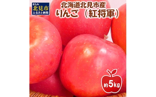 【予約：2026年10月下旬から順次発送】北海道北見市産 りんご 紅将軍 約5kg ( 果物 果実 蜜 旬 季節限定 数量限定 果肉 )【044-0007-2026】
