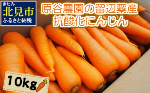 【予約：2026年8月下旬から順次発送】原谷農園の抗酸化にんじん 10kg ( 野菜 にんじん 人参 お菓子 新鮮 北海道産 10キロ )【058-0003-2026】